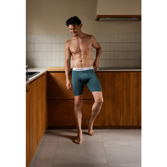 Happy Shorts Heren boxershorts met lange pijpen boxer briefs groen/lichtblauw HS-J-1266-LONG large