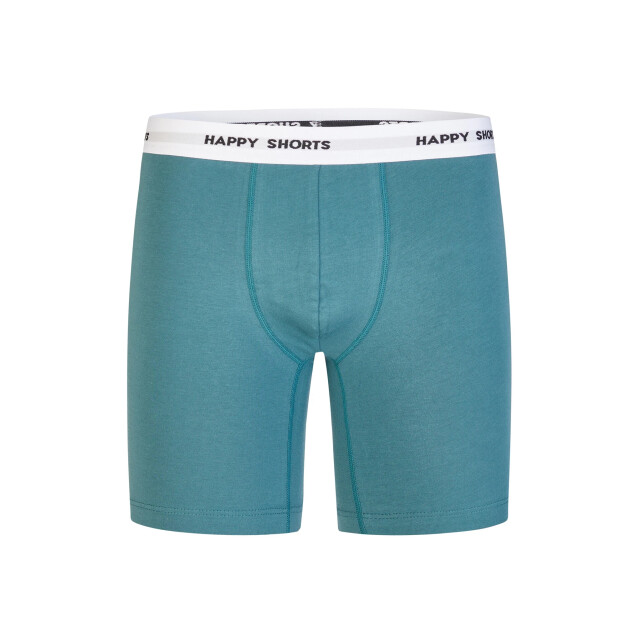 Happy Shorts Heren boxershorts met lange pijpen boxer briefs groen/lichtblauw HS-J-1266-LONG large