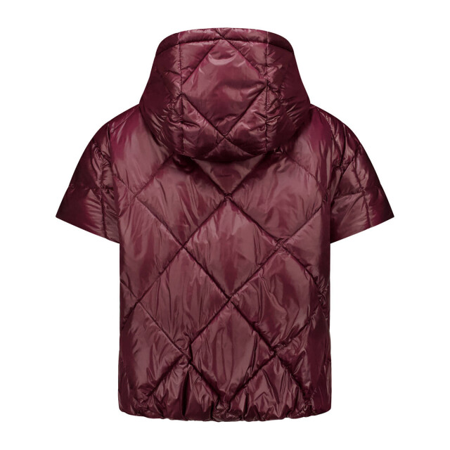 Deblon Sports Bodywarmer 2530909 stevie Deblon Sports Bodywarmer 2530909 STEVIE large