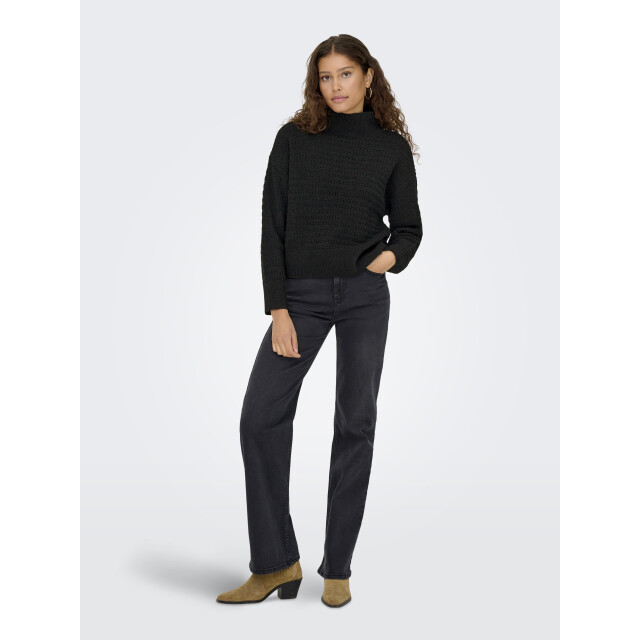 Only onlglobe ls highneck bf knt 15358582 - 06711.991.0012 large