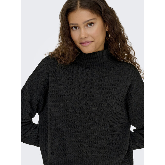 Only onlglobe ls highneck bf knt 15358582 - 06711.991.0012 large