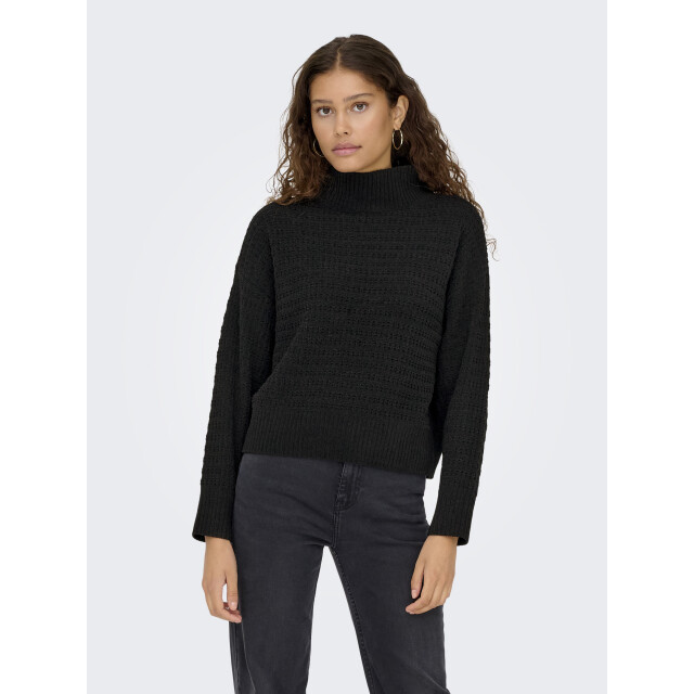 Only onlglobe ls highneck bf knt 15358582 - 06711.991.0012 large