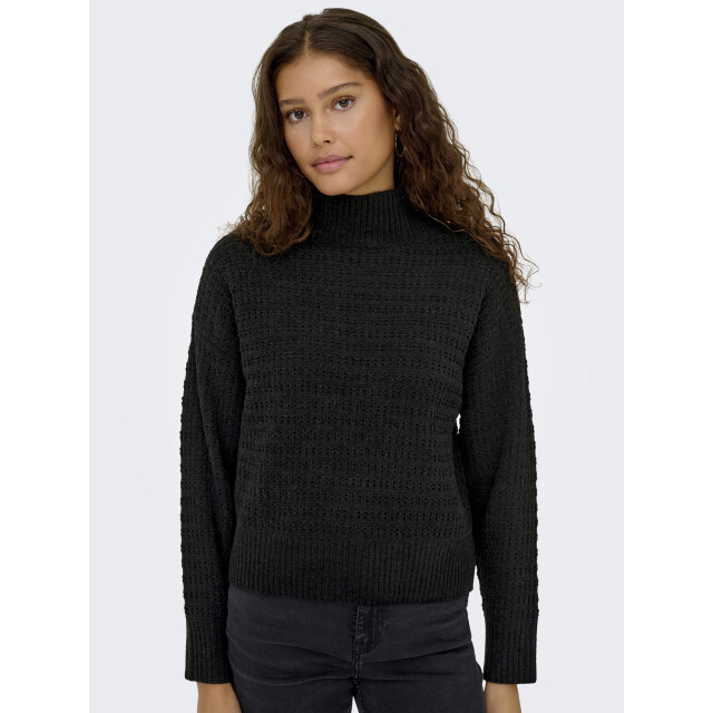 Only onlglobe ls highneck bf knt 15358582 - 06711.991.0012 large