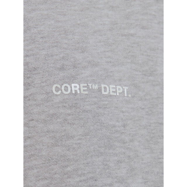 Jack & Jones Heren hoodie jcocover 12282973-Light Grey Melange large