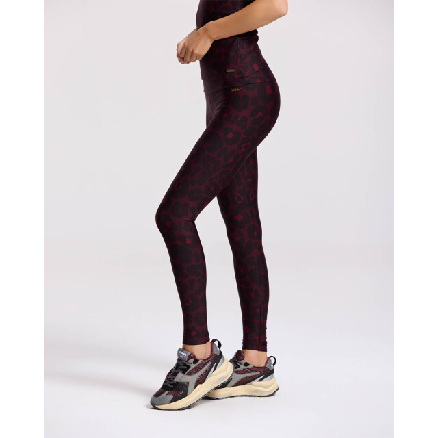 Deblon Sports Legging 2530102 classic legg Deblon Sports Legging 2530102 CLASSIC LEGG large