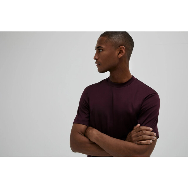 Valenza Interlock supima t-shirt burgundy 160281558 large