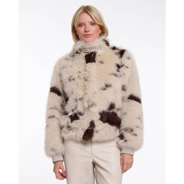 Rino & Pelle Jack ambra.7012514 Rino & Pelle Jack Ambra.7012514 large