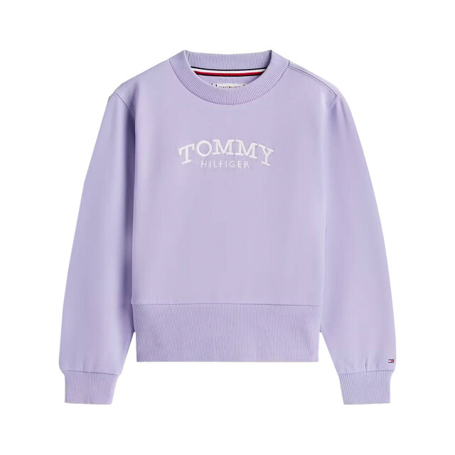 Tommy Hilfiger Sweat kg0kg08989 Tommy Hilfiger Sweat KG0KG08989 large