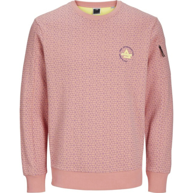 Jack & Jones Jcoaop chestprint sweat crew neck 12257933 large Jack & Jones Jcoaop chestprint sweat crew neck 12257933 large