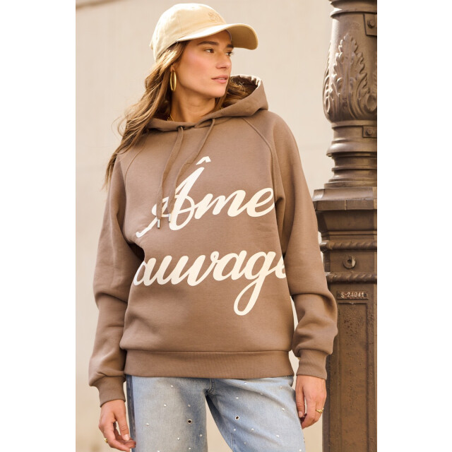 My Jewellery Hoodie 'ame sauvage' taupe 4209.77.0003 large