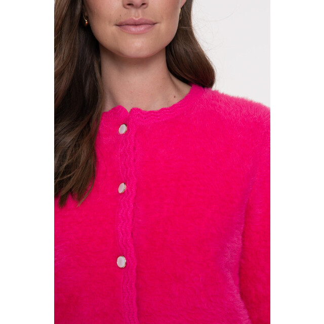 Geisha cardigan hairy 54807-10 420 06741.620.0046 large