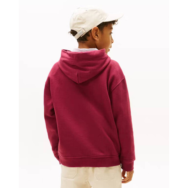 Tommy Hilfiger Hoodie kb0kb10028 Tommy Hilfiger Hoodie KB0KB10028 large