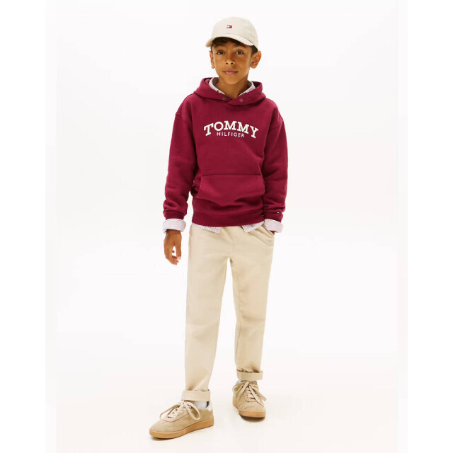 Tommy Hilfiger Hoodie kb0kb10028 Tommy Hilfiger Hoodie KB0KB10028 large