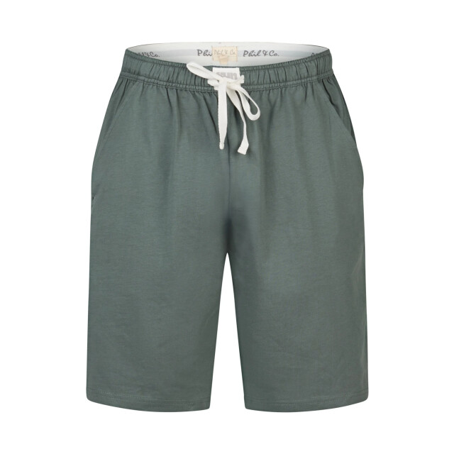 Phil & Co Heren shortama korte pyjama set groen gestreept PH-6117-02 large
