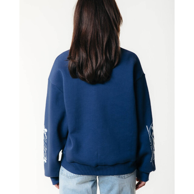 Colourful Rebel Pullover ws417202 logo Colourful Rebel Sweat WS417202 LOGO large