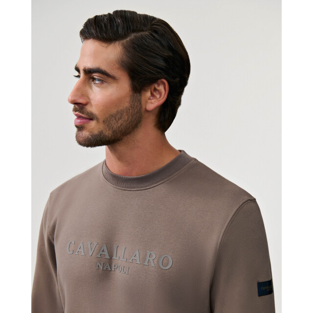 Cavallaro Cavallaro enego sweatshirt 106530-001-M large