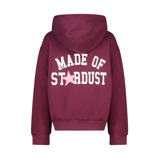 America Today Sissy hood jr 4212002398 826 large