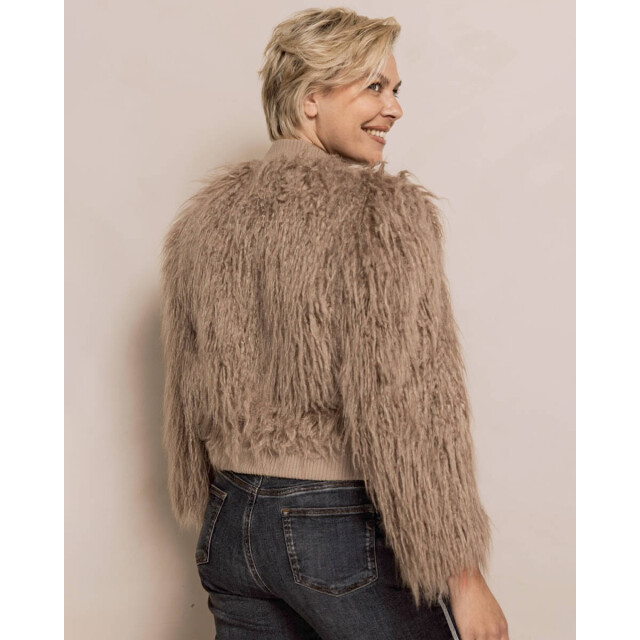 Zhrill Jasje zj274- n3101 zhlora Zhrill Jasje ZJ274- N3101 ZHLORA large