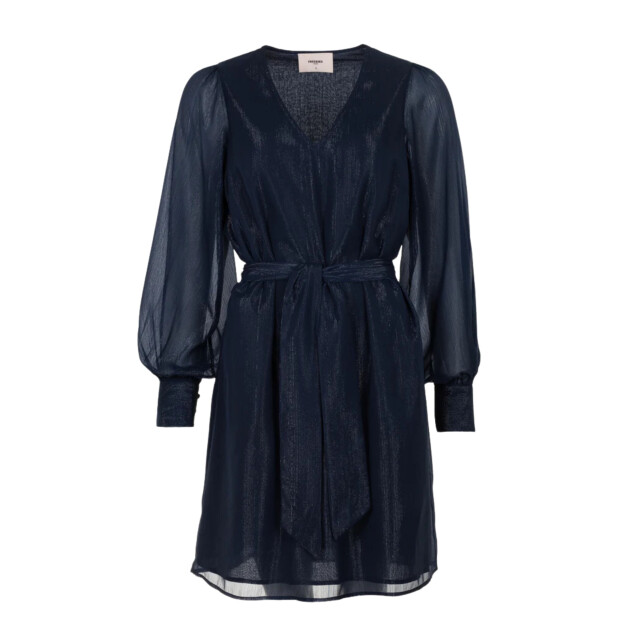 Freebird Dress dion Dion large