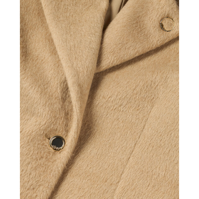 Nikkie Oso bazer 63176 large