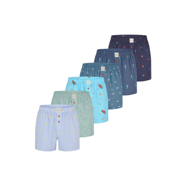 Phil & Co Wijde boxershorts heren 6-pack pack d525 PH-525 large