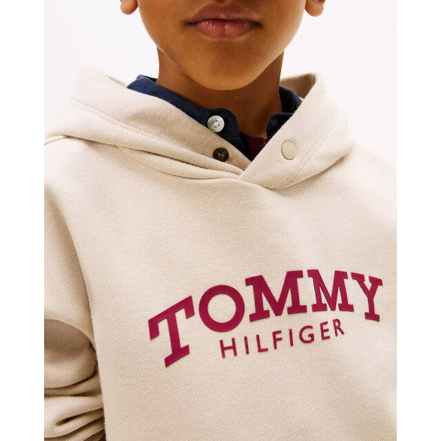 Tommy Hilfiger Hoodie kb0kb10028 Tommy Hilfiger Hoodie KB0KB10028 large