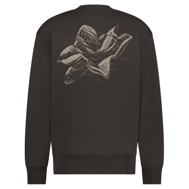 Aeden Sweatshirt a22242954 Aeden Official Sweatshirt A22242954 large