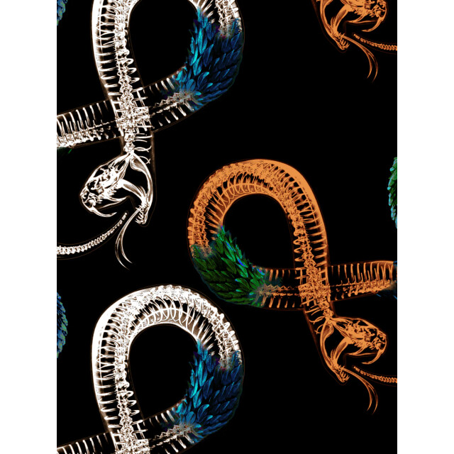 Muchachomalo Heren 12-pack boxershorts print/effen U-GOLDEN1010-16 large