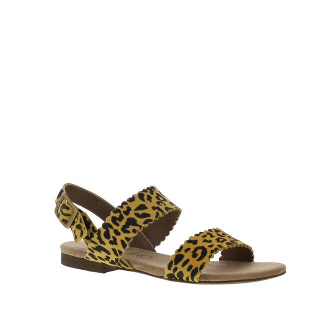 Di Lauro Kaatje dames sandaal | dames | | maat: | leer 103466 large