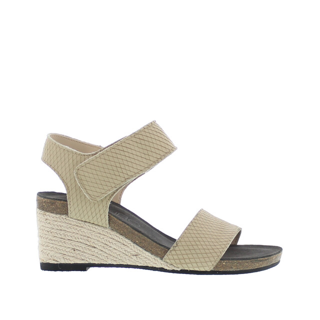 Di Lauro | dames | | maat: 201-45-9 large