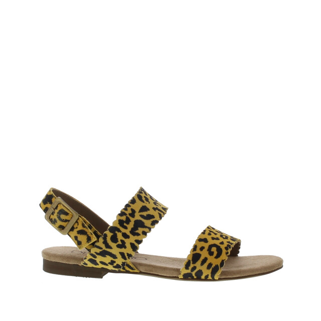 Di Lauro Kaatje dames sandaal | dames | | maat: | leer 103466 large