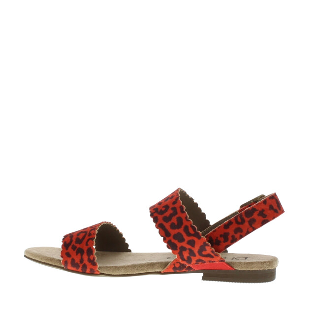 Di Lauro Kaatje dames sandaal | dames | | maat: | leer 103466 large