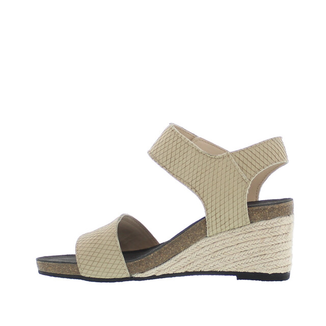 Di Lauro | dames | | maat: 201-45-9 large