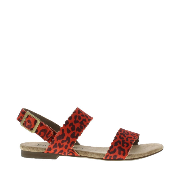 Di Lauro Kaatje dames sandaal | dames | | maat: | leer 103466 large