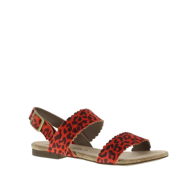 Di Lauro Kaatje dames sandaal | dames | | maat: | leer 103466 large