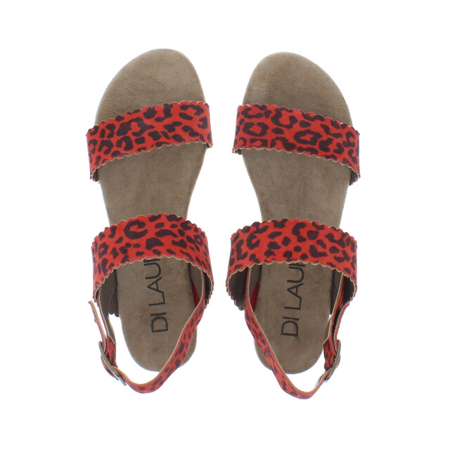 Di Lauro Kaatje dames sandaal | dames | | maat: | leer 103466 large