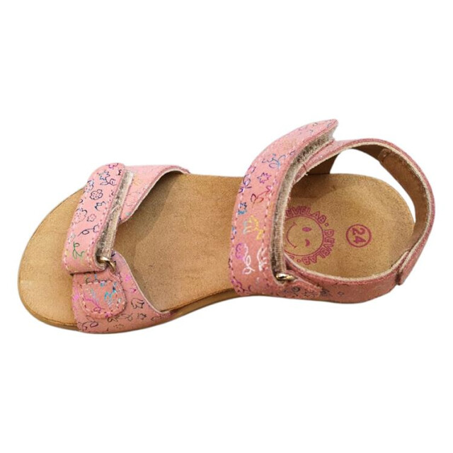 Develab 48490 48490 large