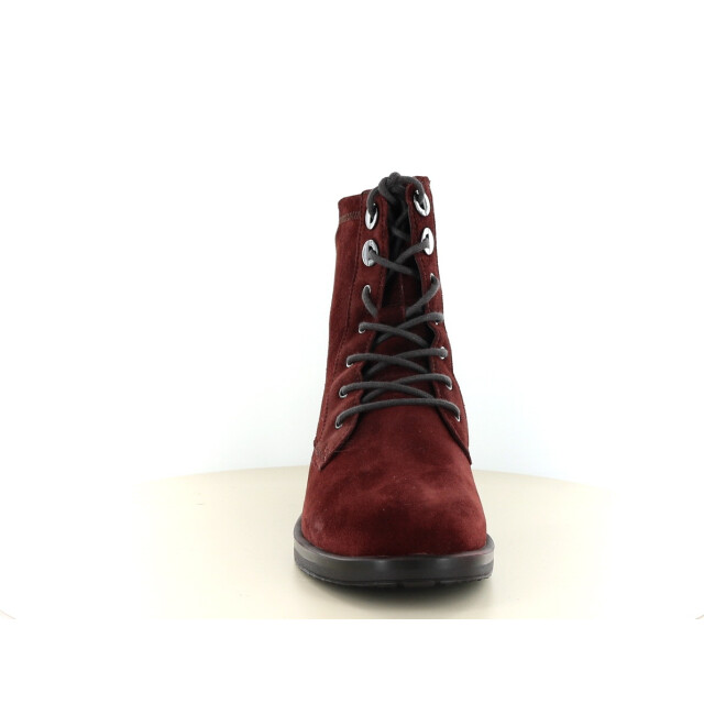 Hartjes 172.1303 wijdte g 261.34.047 large