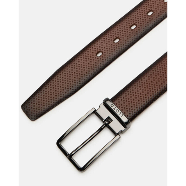 Lloyd Riem 0257 Lloyd Riem 0257 large