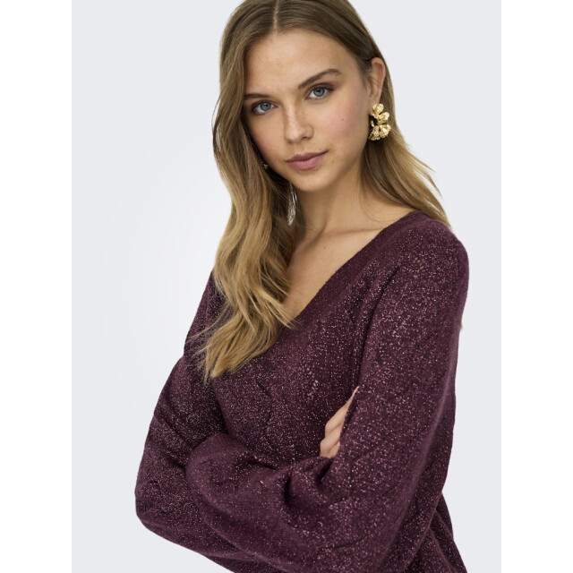 Jacqueline de Yong Jdyaspen life ls v-neck pullover knt bordeaux 4219.47.0004 large