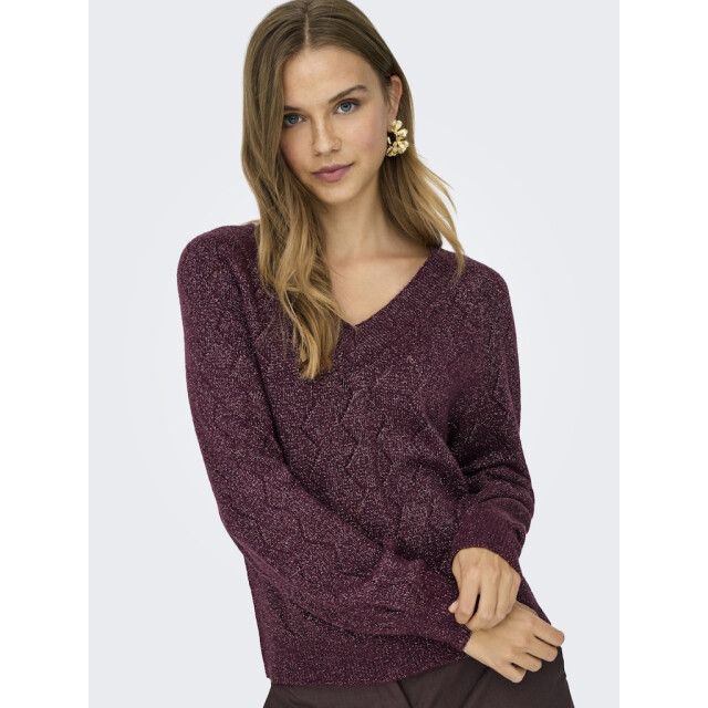 Jacqueline de Yong Jdyaspen life ls v-neck pullover knt bordeaux 4219.47.0004 large