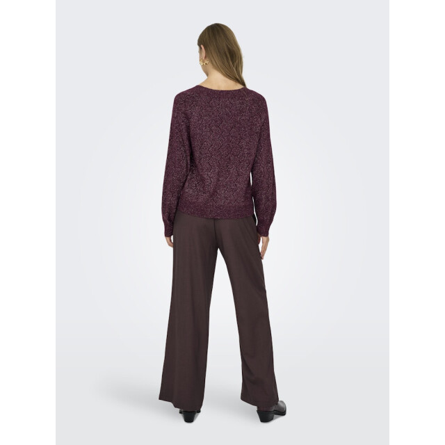 Jacqueline de Yong Jdyaspen life ls v-neck pullover knt bordeaux 4219.47.0004 large