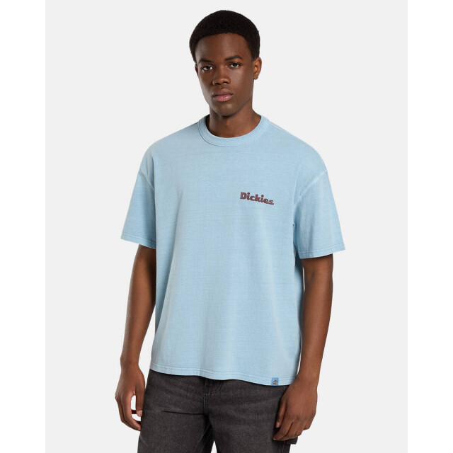 Dickies T-shirt korte mouw dk0a87qrk661 Dickies T-shirt korte mouw DK0A87QRK661 large