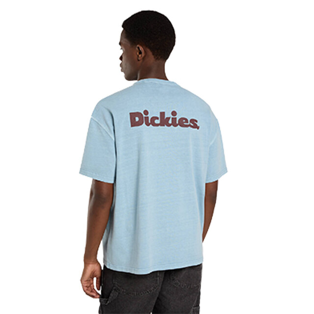 Dickies T-shirt korte mouw dk0a87qrk661 Dickies T-shirt korte mouw DK0A87QRK661 large