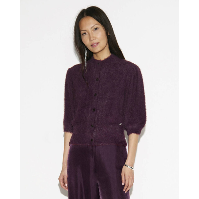 Dante 6 Vest 254408 meganne Dante 6 Vest 254408 MEGANNE large