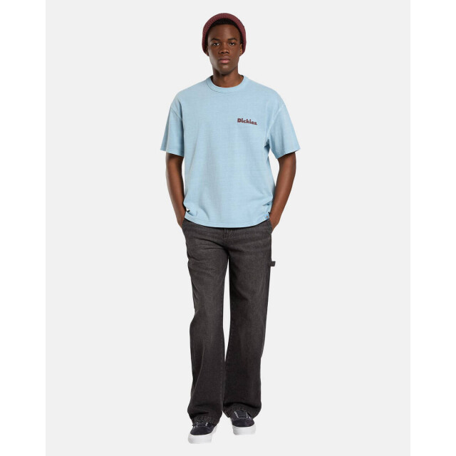 Dickies T-shirt korte mouw dk0a87qrk661 Dickies T-shirt korte mouw DK0A87QRK661 large