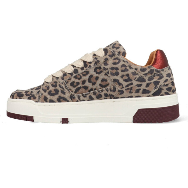 DWRS Label Whitby leopard j6972-02 020726 large