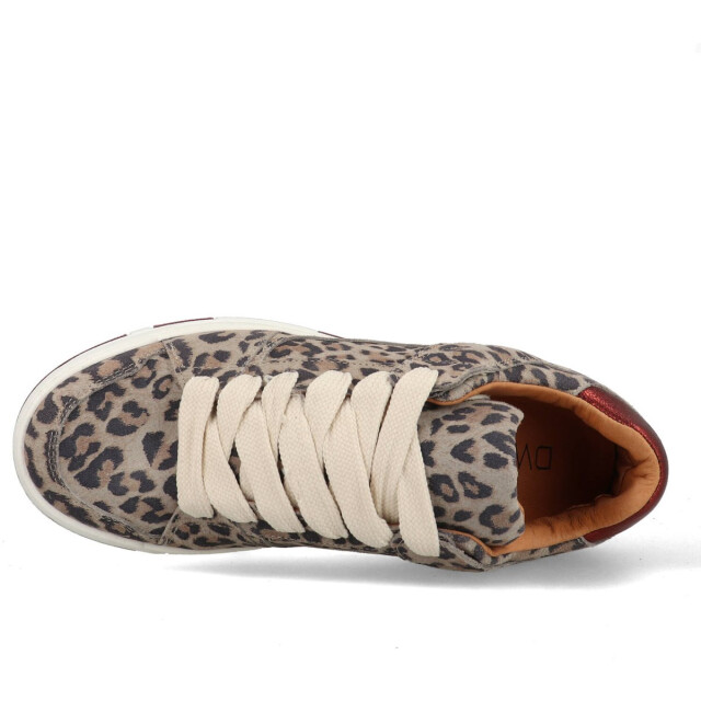 DWRS Label Whitby leopard j6972-02 020726 large