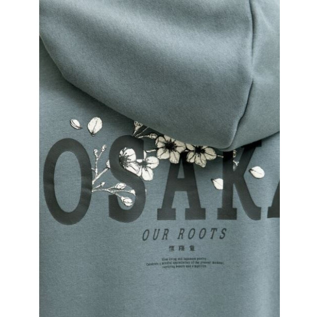 Jack & Jones Jjkenji sweat hood 12278637 large