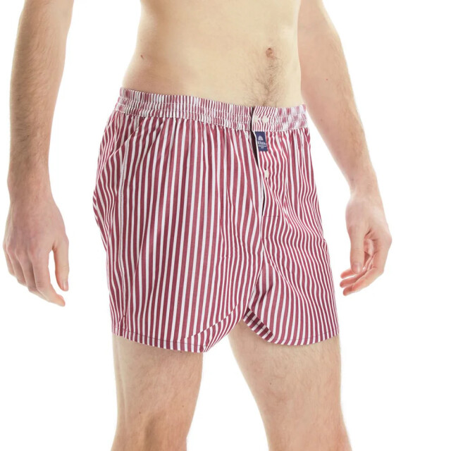 Mc Alson Striped burgundy M0232 large